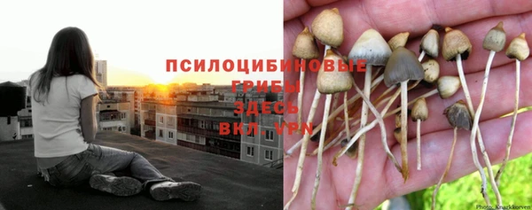 крисы Нефтекумск