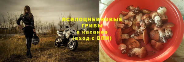 крисы Нефтекумск